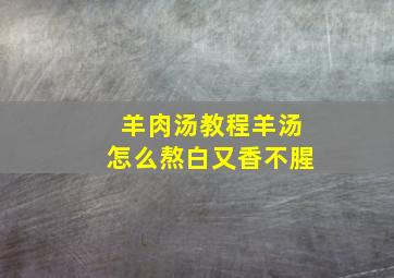 羊肉汤教程羊汤怎么熬白又香不腥