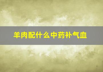 羊肉配什么中药补气血