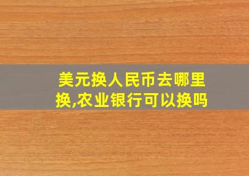 美元换人民币去哪里换,农业银行可以换吗