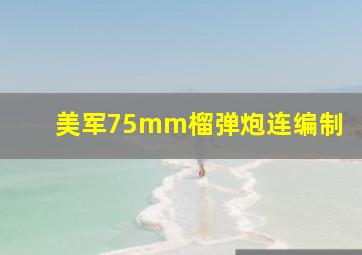 美军75mm榴弹炮连编制