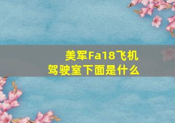 美军Fa18飞机驾驶室下面是什么