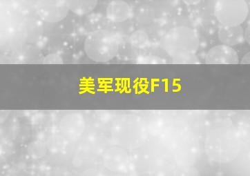 美军现役F15