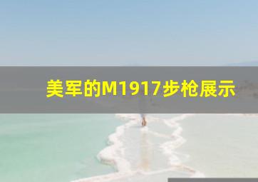 美军的M1917步枪展示