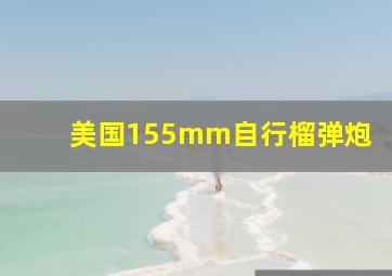 美国155mm自行榴弹炮