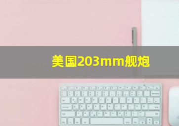 美国203mm舰炮