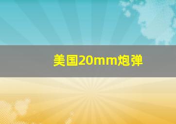 美国20mm炮弹