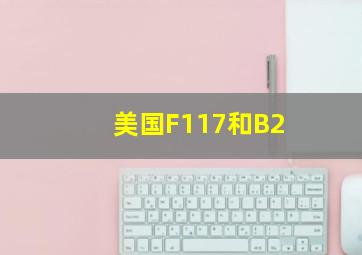 美国F117和B2