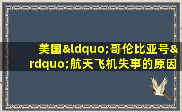 美国“哥伦比亚号”航天飞机失事的原因是