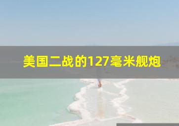 美国二战的127毫米舰炮