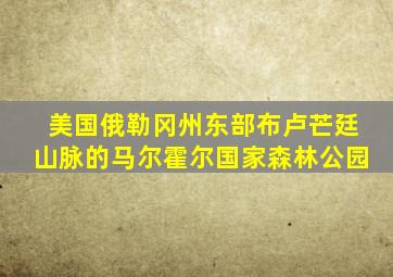 美国俄勒冈州东部布卢芒廷山脉的马尔霍尔国家森林公园