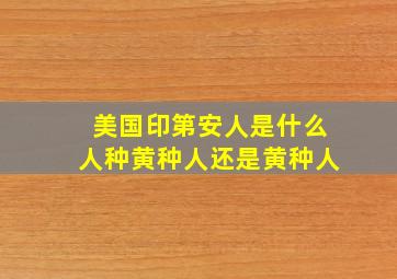 美国印第安人是什么人种黄种人还是黄种人