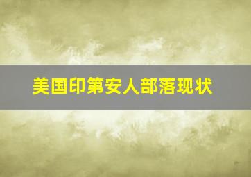 美国印第安人部落现状