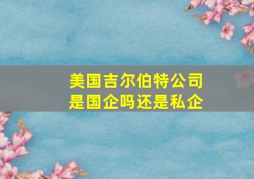 美国吉尔伯特公司是国企吗还是私企