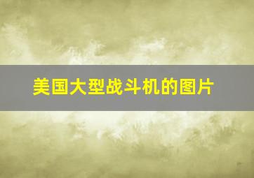 美国大型战斗机的图片