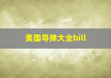 美国导弹大全bill