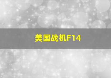 美国战机F14