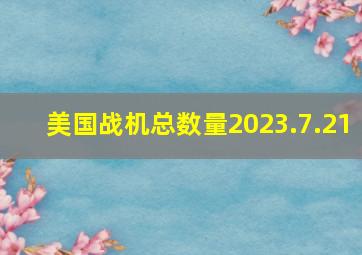 美国战机总数量2023.7.21