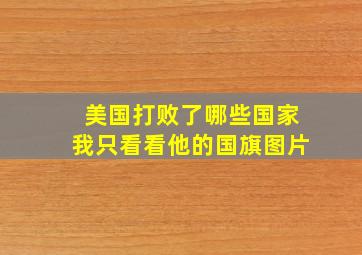 美国打败了哪些国家我只看看他的国旗图片