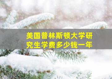 美国普林斯顿大学研究生学费多少钱一年