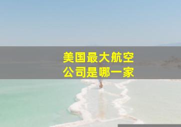 美国最大航空公司是哪一家