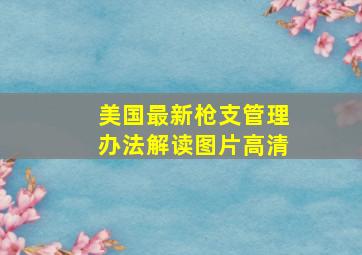 美国最新枪支管理办法解读图片高清