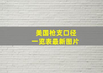 美国枪支口径一览表最新图片