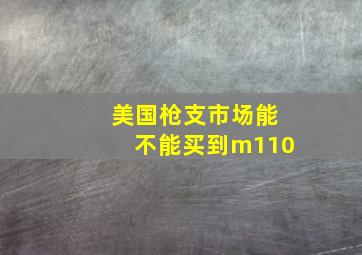 美国枪支市场能不能买到m110