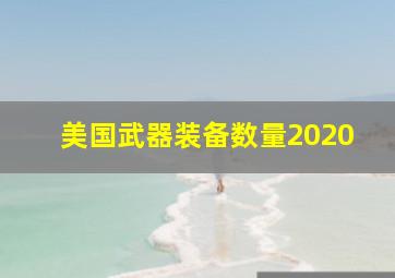 美国武器装备数量2020