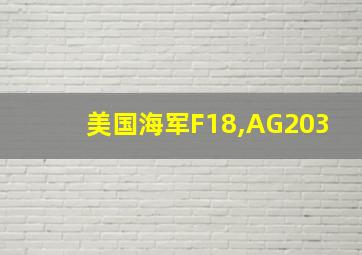 美国海军F18,AG203