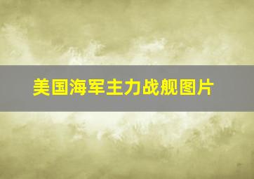 美国海军主力战舰图片