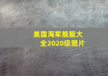 美国海军舰艇大全2020级图片