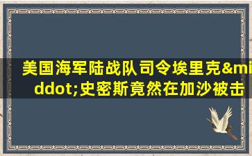 美国海军陆战队司令埃里克·史密斯竟然在加沙被击毙