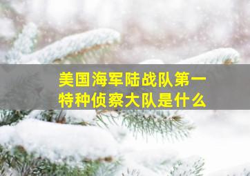 美国海军陆战队第一特种侦察大队是什么