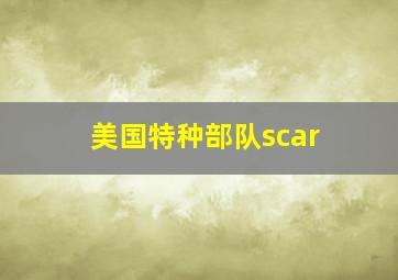 美国特种部队scar