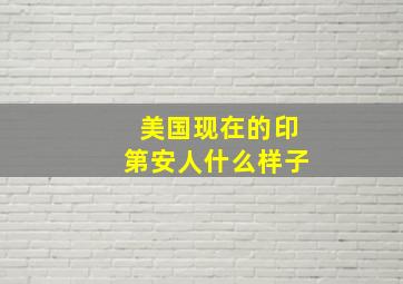 美国现在的印第安人什么样子