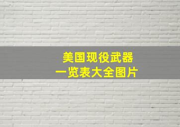 美国现役武器一览表大全图片