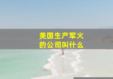 美国生产军火的公司叫什么