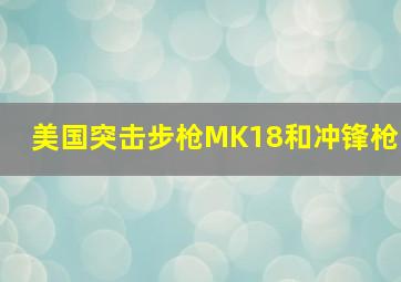 美国突击步枪MK18和冲锋枪