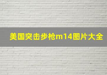 美国突击步枪m14图片大全