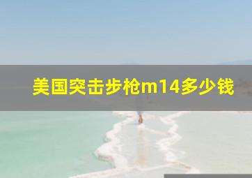 美国突击步枪m14多少钱