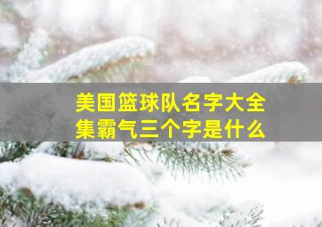 美国篮球队名字大全集霸气三个字是什么