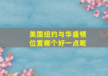 美国纽约与华盛顿位置哪个好一点呢