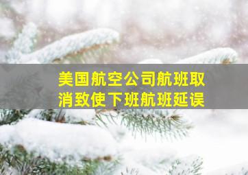 美国航空公司航班取消致使下班航班延误