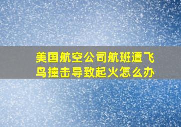 美国航空公司航班遭飞鸟撞击导致起火怎么办