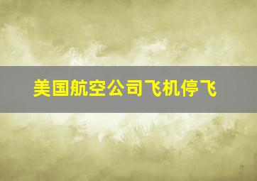 美国航空公司飞机停飞