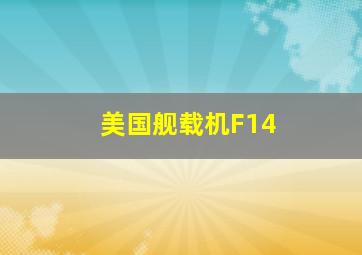 美国舰载机F14