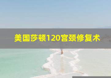 美国莎顿120宫颈修复术