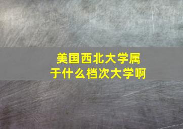 美国西北大学属于什么档次大学啊