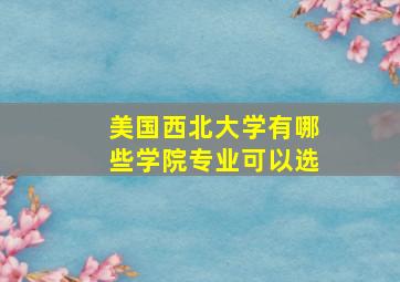 美国西北大学有哪些学院专业可以选