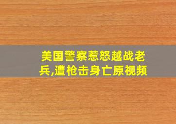 美国警察惹怒越战老兵,遭枪击身亡原视频